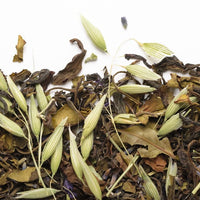 A Summer in Nilgiri Iced Tea 50g