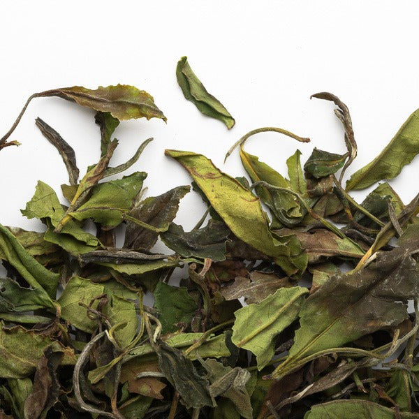 Thé blanc Bai Mu Dan 30 g