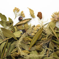 Taiga Sauvage Herbal Tea 20g