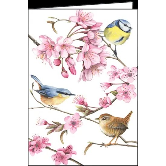 Greeting Card - Birds 5" x 7"
