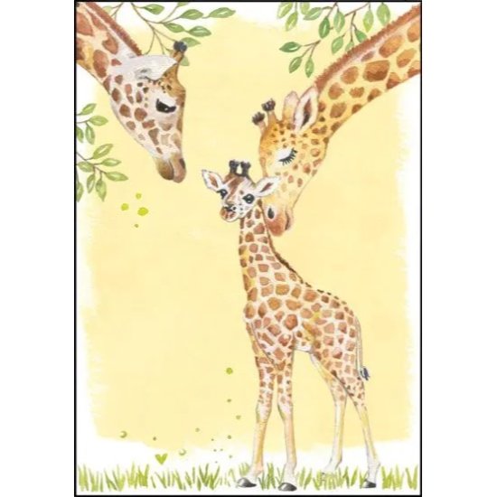 Greeting Card - Giraffes 5" x 7"