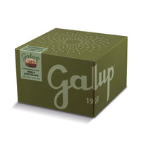 Galup Italian Panettone with Pears and Chocolate 750g