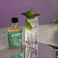 Wild Mint Syrup 200ml