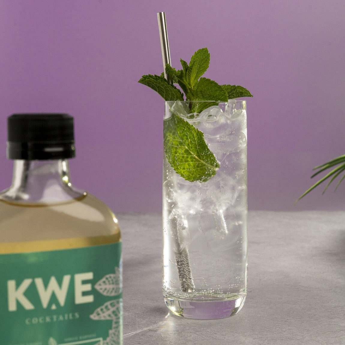 Wild Mint Syrup 200ml