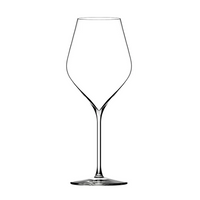 Absolus 20 Champagne Glass 200ml