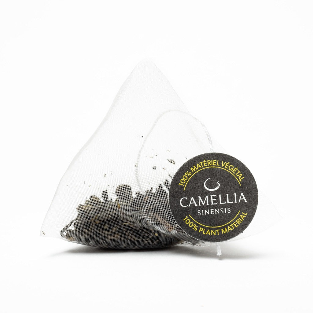 Té verde Mao Feng - 15 Bolsitas de té
