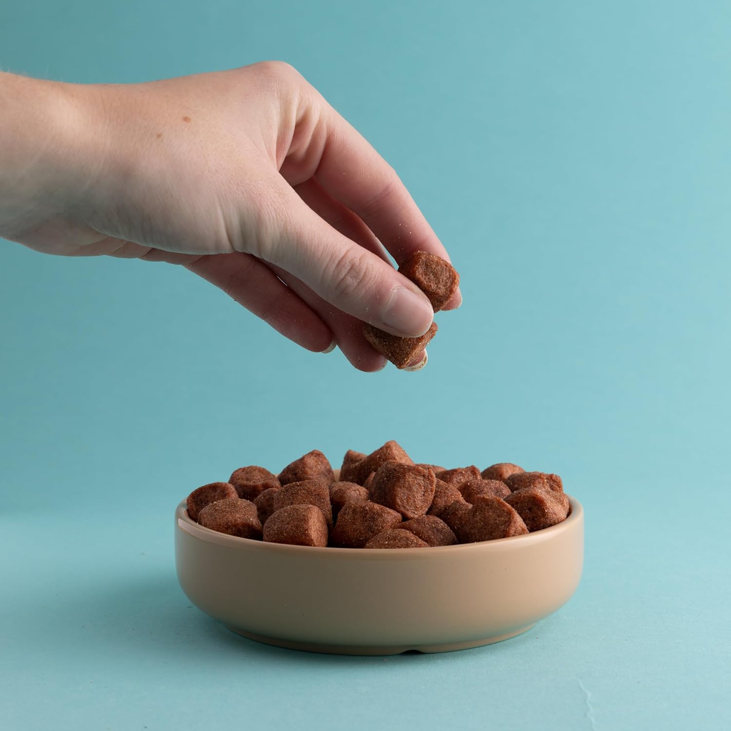 Bastón con platillo para gatos PET