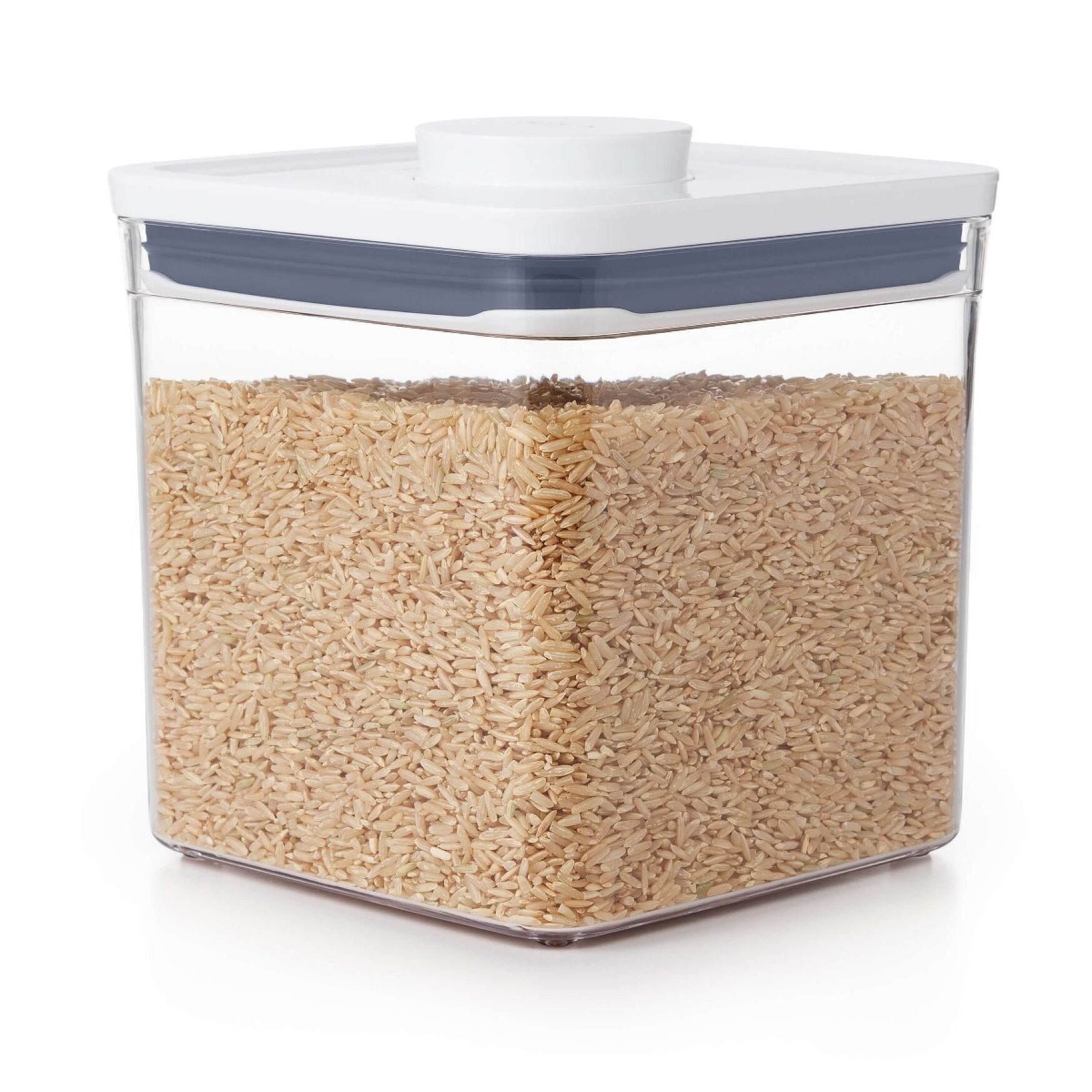 POP Container 2.8Qt / 2.6L