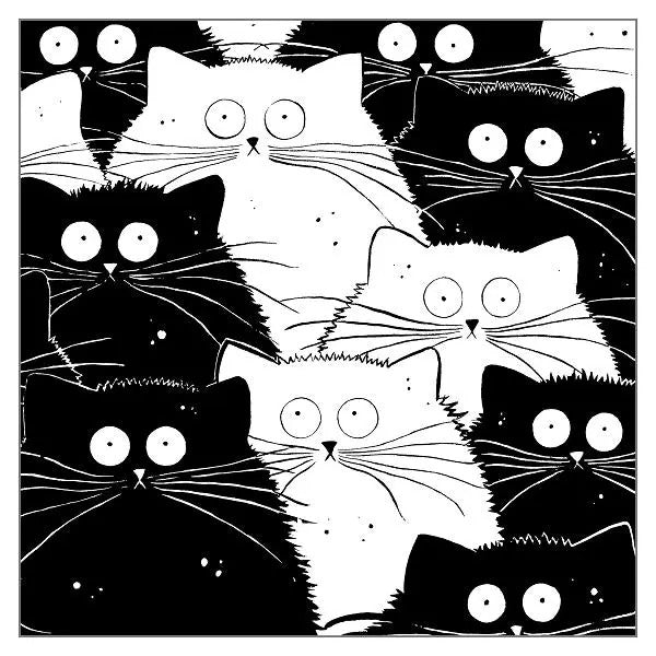 Tarjeta de felicitación de gatos blancos y negros de 15 x 15 cm