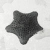 Starfish Hair Catcher - Black