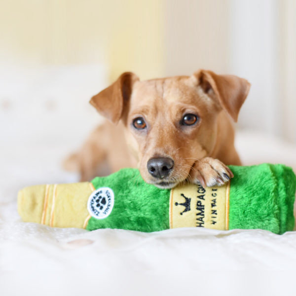 Happy Hour Crusherz Champagne Squeaky Plush Dog Toy