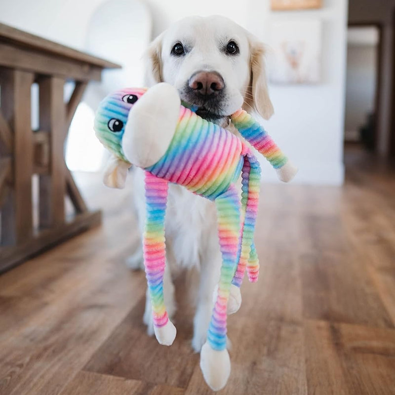 Spencer the Crinkle Monkey, paquete de 2 juguetes pequeños para perros , arcoíris y azul