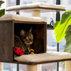 ZippyClaws Paquete de 2 juguetes para gatos con mariquita y abeja